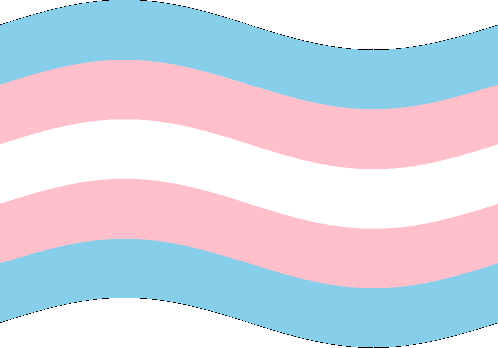 TransFlag